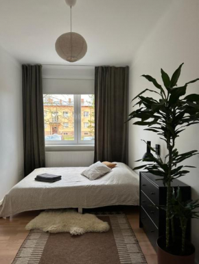 Apartment for friends & families Tallinn